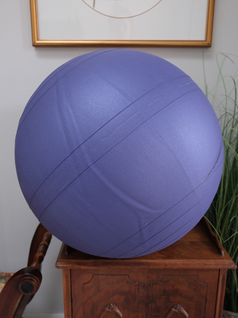 Fitterfirst 55cm Exercise Ball Stability Ball